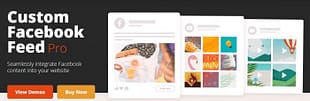 Custom Facebook Feed Pro (By Smash Balloon)