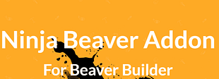 Ninja Beaver Pro WordPress