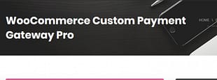 WooCommerce Custom Payment Gateway
