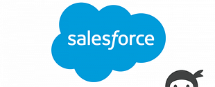 Ninja Forms SalesForce CRM