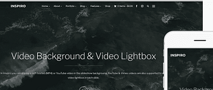 WPZoom Inspiro WordPress Theme