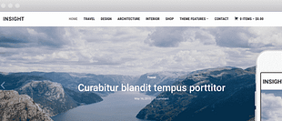 WPZoom Insight WordPress Theme