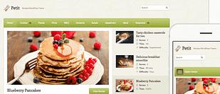 WPZoom Petit WordPress Theme