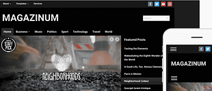 WPZoom Magazinum WordPress Theme