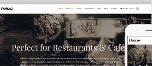 WPZoom Delirium WordPress Theme