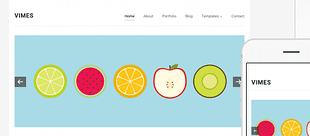 WPZoom Vimes WordPress Theme