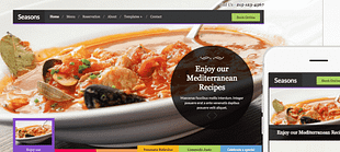 WPZoom Seasons WordPress Theme