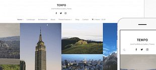 WPZoom Tempo WordPress Theme