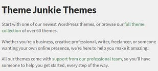 Theme Junkie Ultrastore WordPress Theme