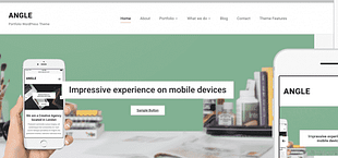 WPZoom Angle WordPress Theme