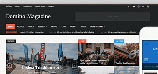 WPZoom Domino WordPress Theme