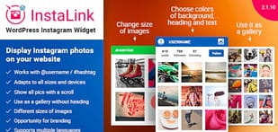 Elfsight Instagram Widget