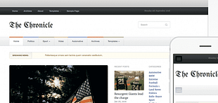 WPZoom Chronicle WordPress Theme