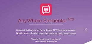 AnyWhere Elementor Pro WordPress