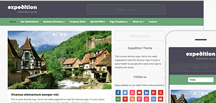 WPZoom Foodica WordPress Theme