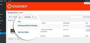Soliloquy Defaults Addon