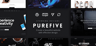 Purefive - Multipurpose WordPress Theme