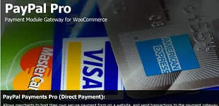 PayPal Pro Payment Module