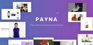 Payna - Clean