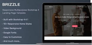 Brizzle - Landing Page Template