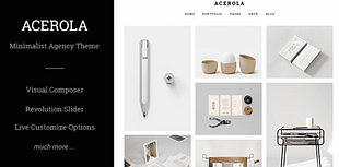 Acerola - Ultra Minimalist Agency