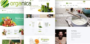 Organica - Responsive WooCommerce WordPress