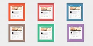 CyberChimps Radiant Pro WordPress Theme