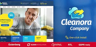 Cleanora - Cleaning Services Theme