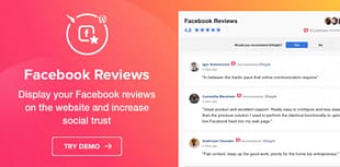 Elfsight Facebook Reviews