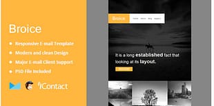 Broice - Responsive E-mail