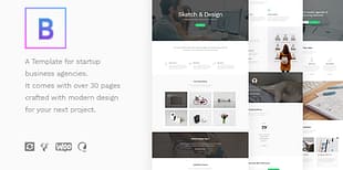 BoTheme - Startup Business WordPress