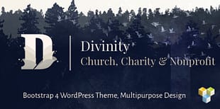 Divinity - Church& Nonprofit wordpress theme