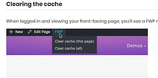 FacetWP - Caching