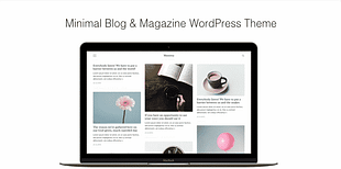 Maxima - Minimal Blog &