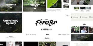 Minimal Portfolio WordPress Theme -