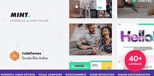 Mint - Creative Multi-Purpose WordPress