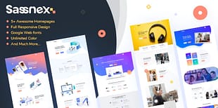 Sassnex - WordPress Theme for