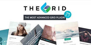The Grid - Responsive WordPress