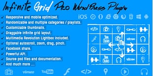 Infinite Grid Pro Wordpress