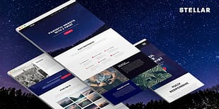 Stellar - Responsive Muse Template