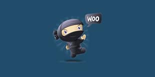 WP Rich Snippets WooCommerce