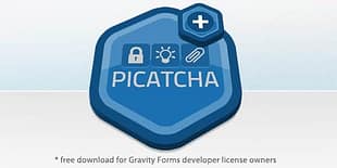 Gravity Forms Picatcha Add-On 2