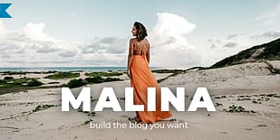 Malina - Personal WordPress Blog Theme