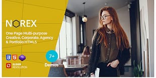 Norex - One Page Parallax