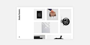 Flamini - Studio/Agency Portfolio WordPress Theme for Elementor