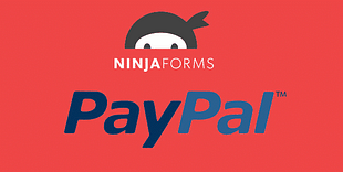 PayPal Standard Payment Gateway