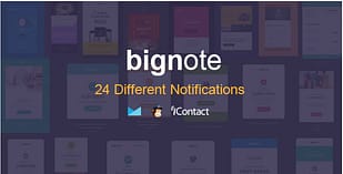 Bignote -24 Unique Responsive Email