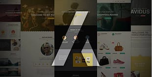 Avidus - Multipurpose Muse Template