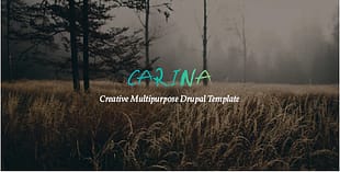 Carina - Creative Multipurpose Drupal 8.6 Theme
