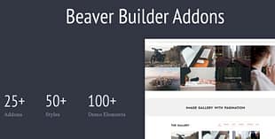 Livemesh Addons for Beaver